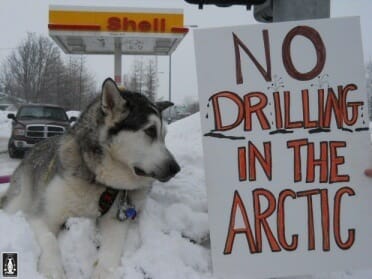 Why we’re telling Shell’s investors to tell Shell to stop Arctic drilling