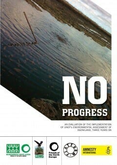 No Progress – an evaluation of the implementation of UNEP’s assessment of Ogoniland 3 years on